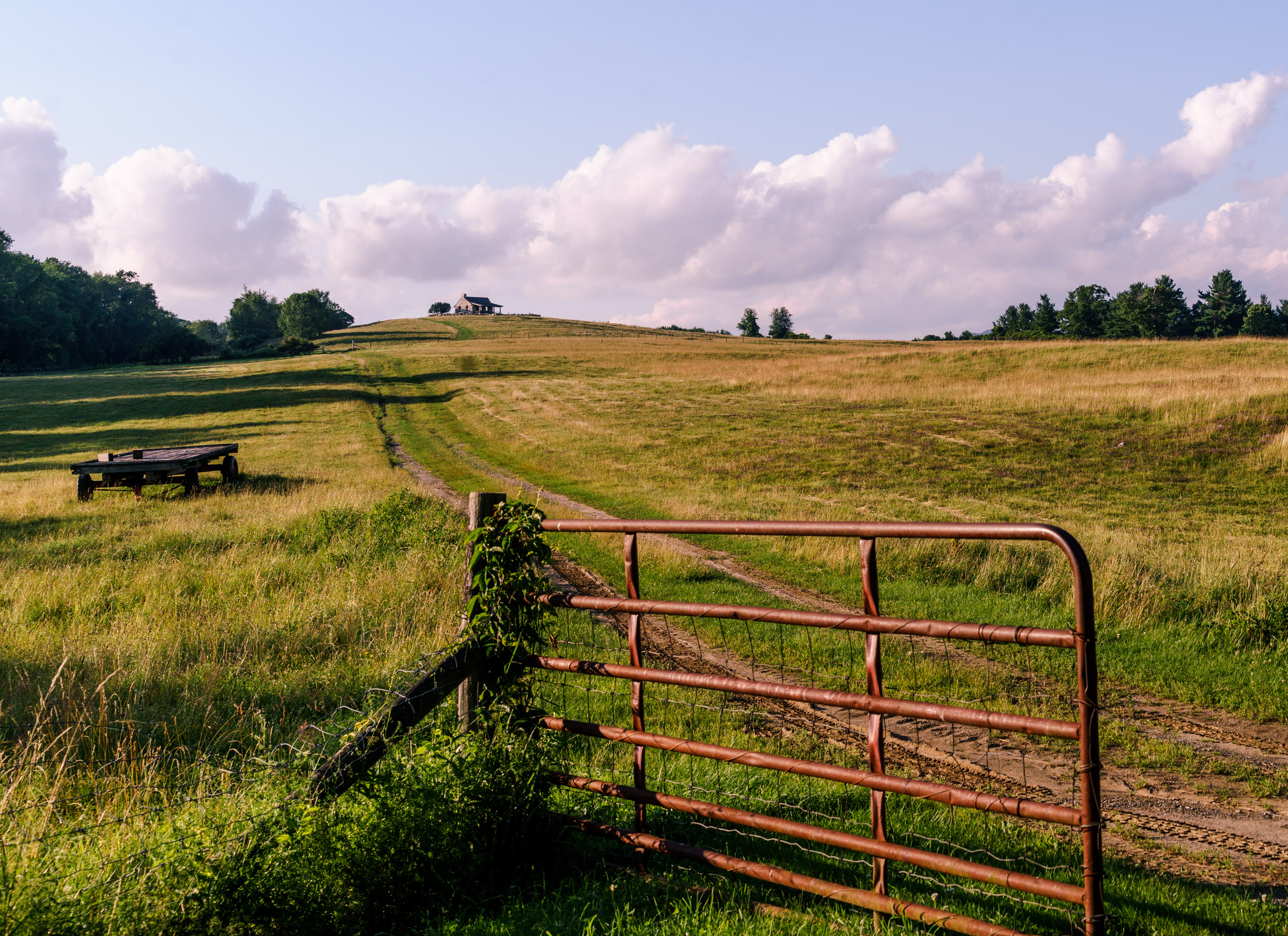 Lake Mansfield Homepage Great Barrington Land Conservancy